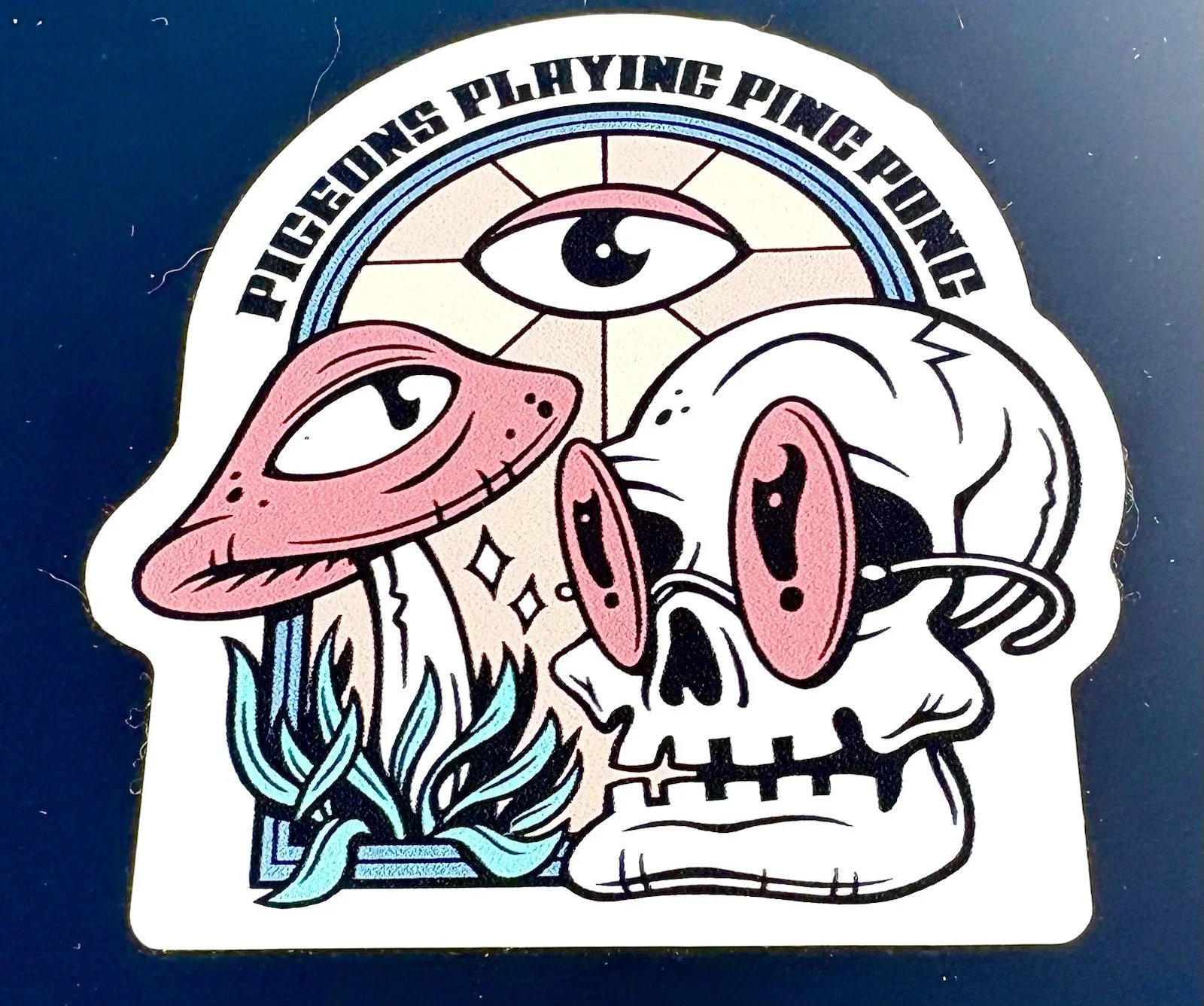 PIGEONS PLAYING PING PONG SIGNED 12” Drumhead JSA COA, image 2