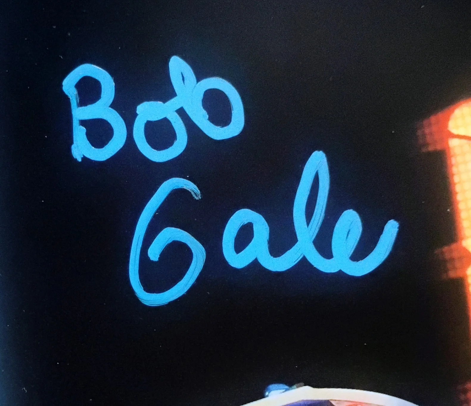 Bob Gale Hand Signed 8x10 Photo COA Back To The Future NO US TARIFFS, image 3