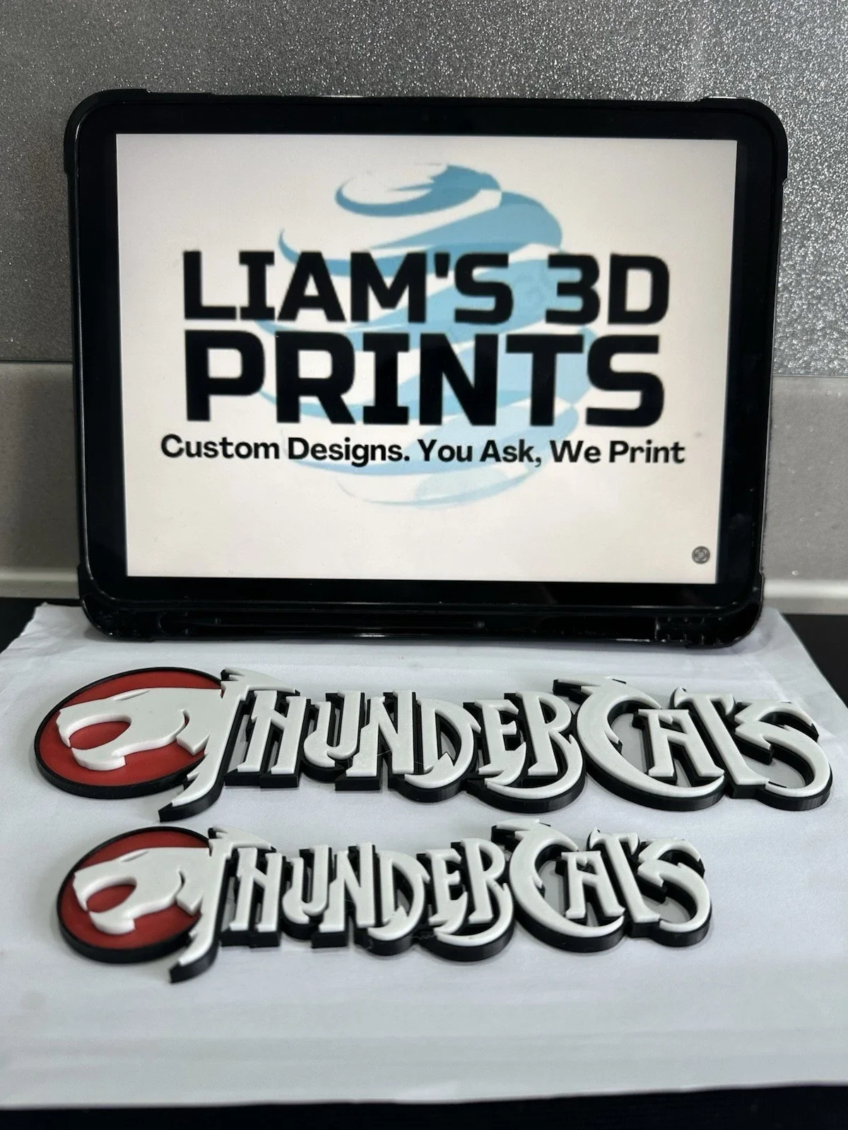 Decorative Thundercats Logo TV Show 3D Print 2 Sizes, image 3
