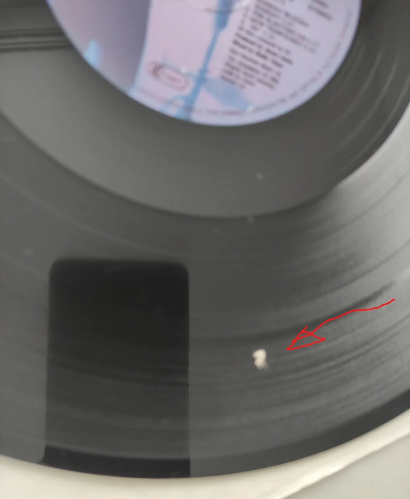 BONO - U2 Signed Autograph Album Record LP - Live "Under A Blood Red Sky", изображение 4