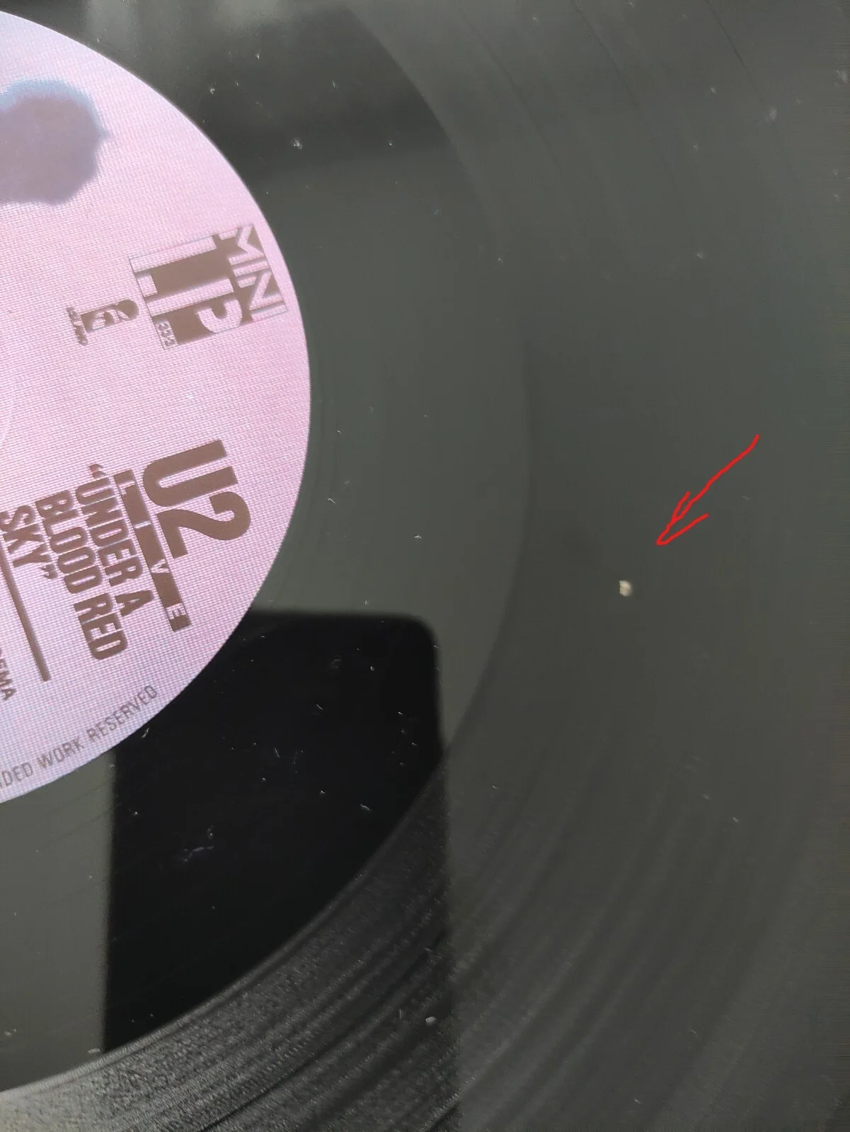 BONO - U2 Signed Autograph Album Record LP - Live "Under A Blood Red Sky", изображение 5