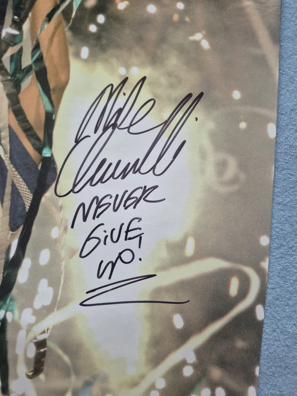 Mike Iaconelli Poster Signed Excellent Cond 24 X 16, image 2