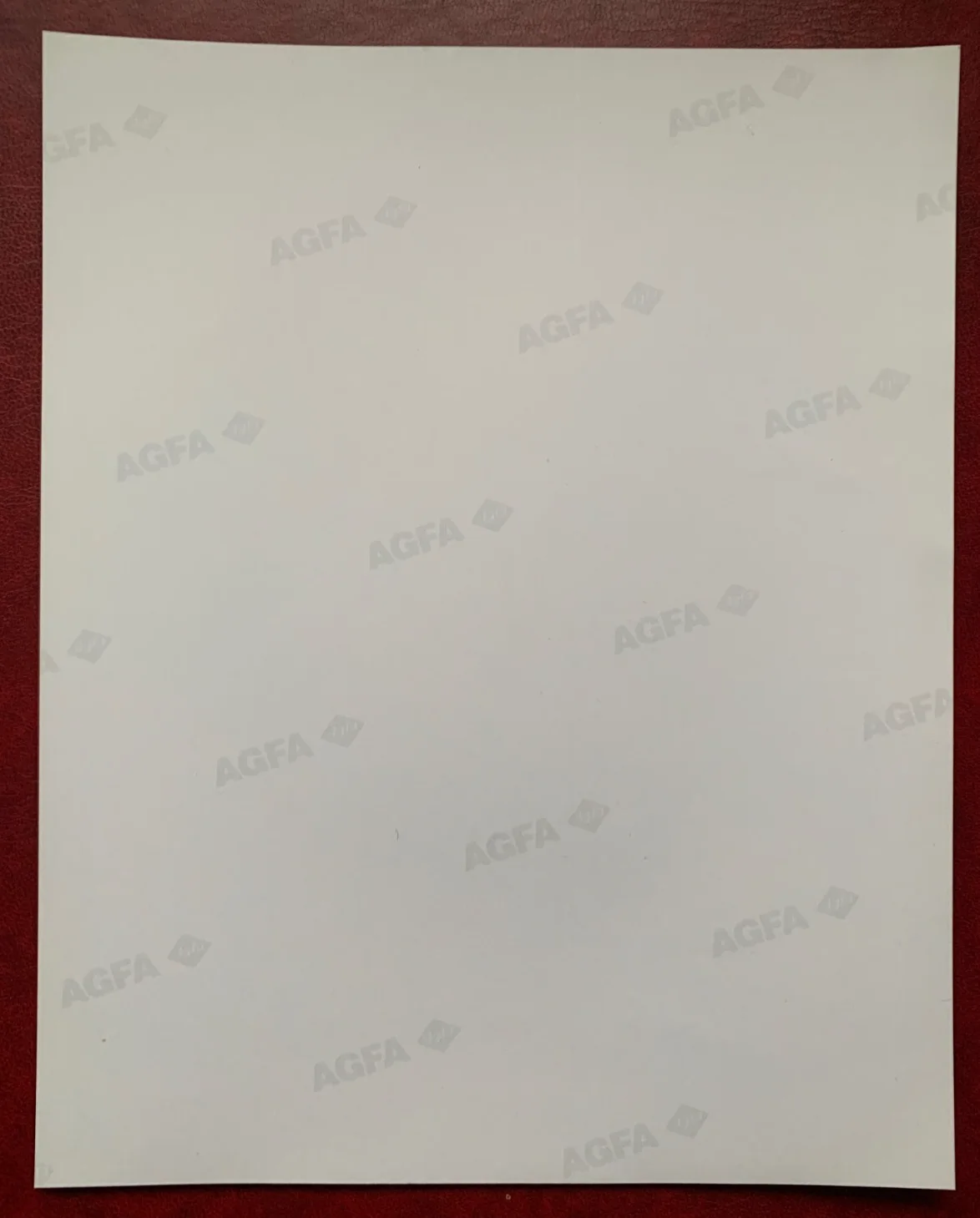 Grace Kelly 8x10 Vintage Photo by Howell Conant Jamaica in 1955 (AGFA Print), изображение 3