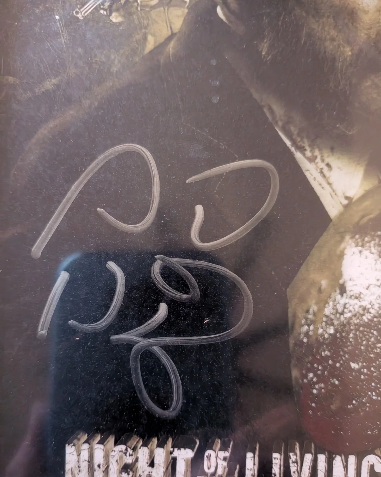 Night of The Living Dead 3D Sid Haig Autograph Signed, image 4