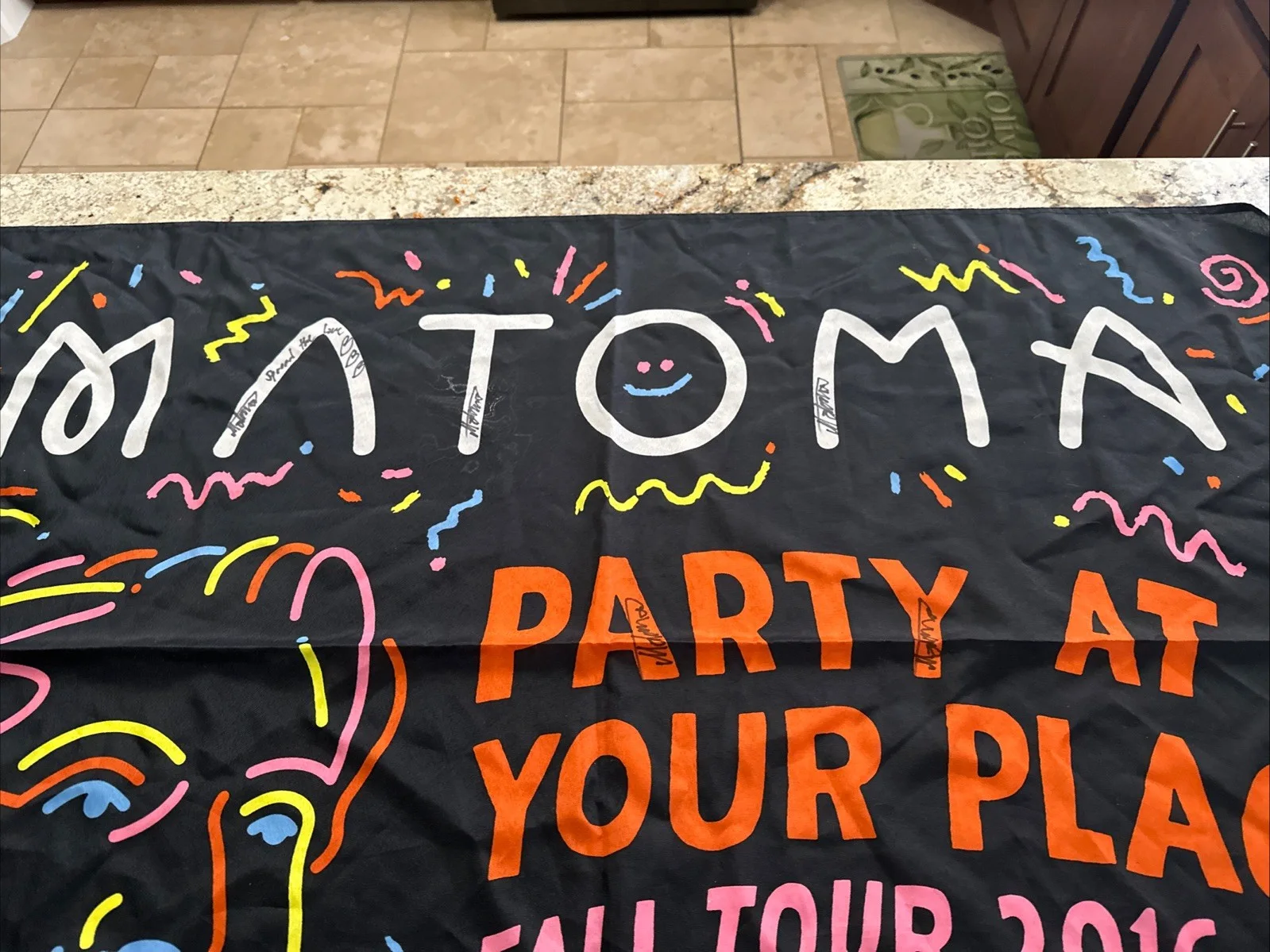 Matoma Dj Signed Tour Banner "Party at Your Place 2016" 59 X 36, image 3