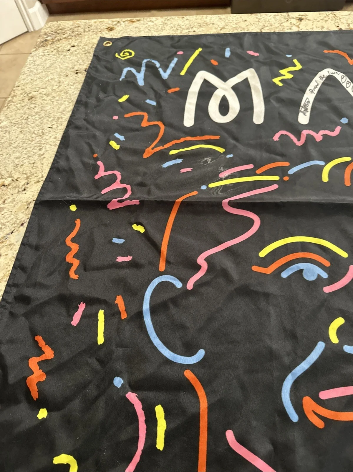 Matoma Dj Signed Tour Banner "Party at Your Place 2016" 59 X 36, image 5