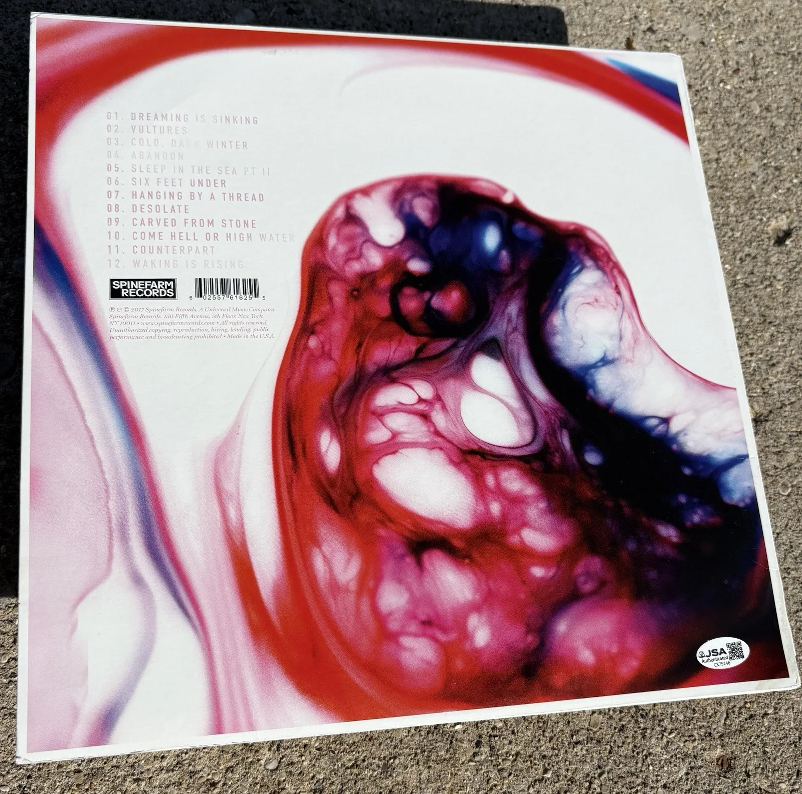 DAYSEEKER SIGNED Clear Vinyl JSA COA Dreaming Is Sinking Making Is Rising, image 2