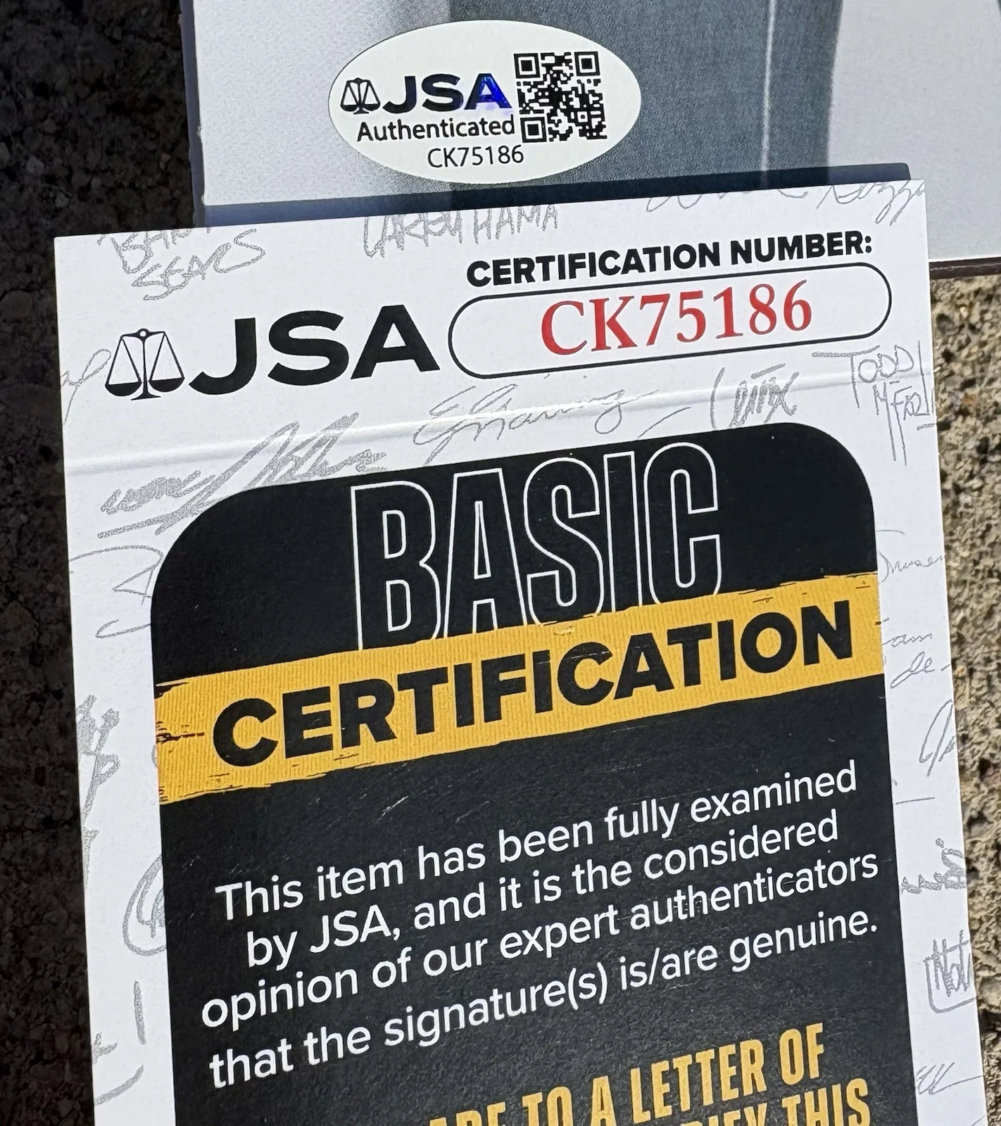 ALY & AJ SIGNED Insomniatic Vinyl JSA COA, image 4