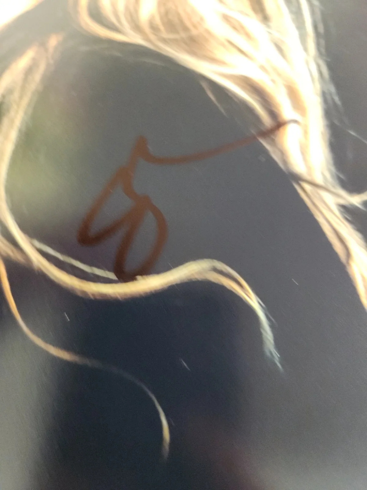 Eliana Jones Signed Autographed 8x10" Photograph AW COA Nikita Sexy Portrait, изображение 2