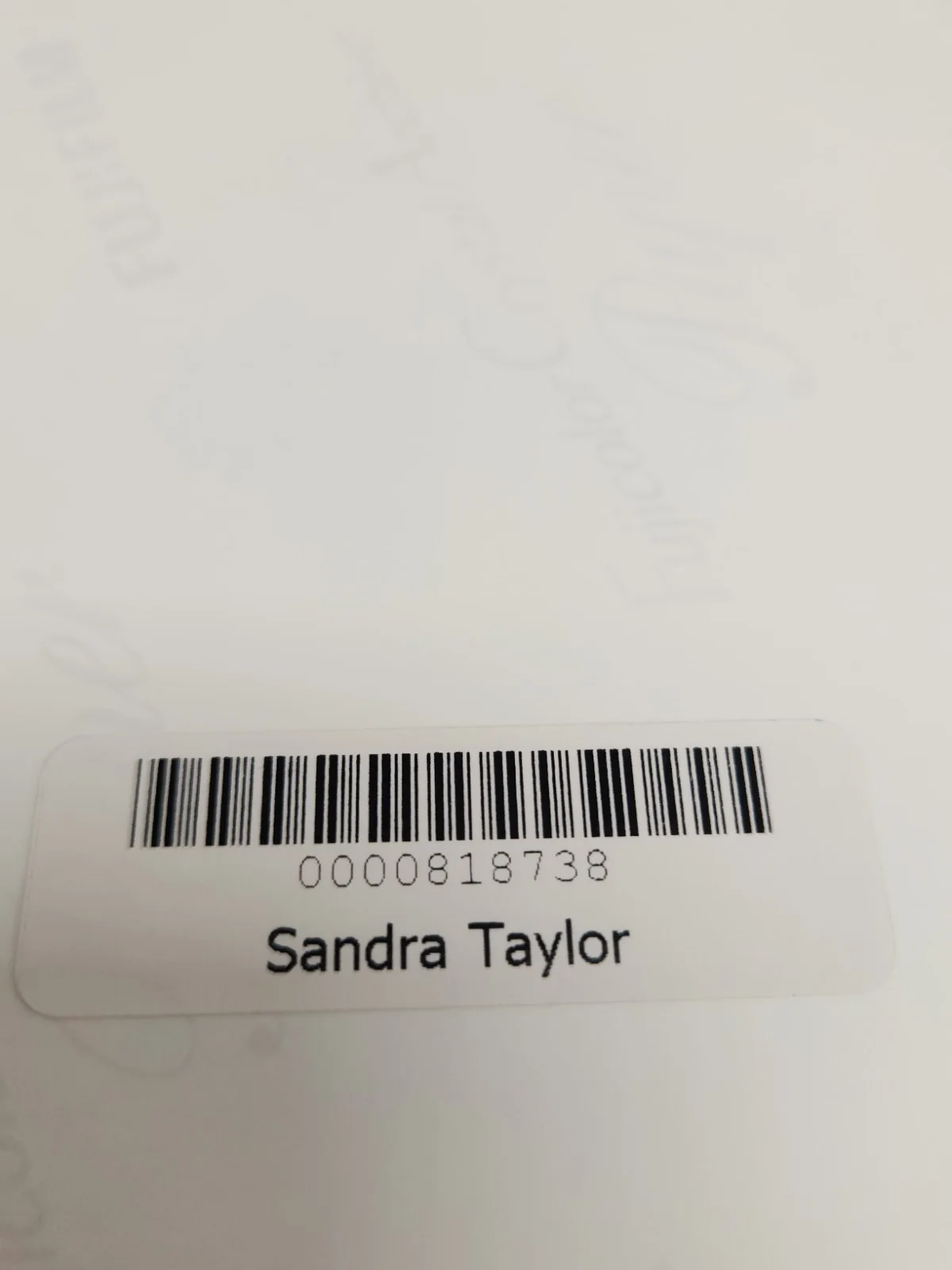 Sandra Taylor Signed Autographed 8x10" Photograph AW COA Tomcats Sexy Portrait, изображение 3