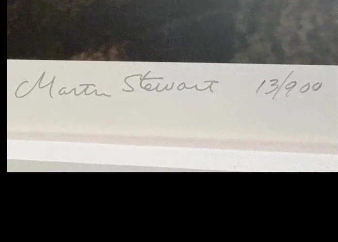 Martha Stewart — Martha Stewart Signed Moss Bowl Ltd Ed Print 13/900 Framed With COA 25” x 21.5”, изображение 3