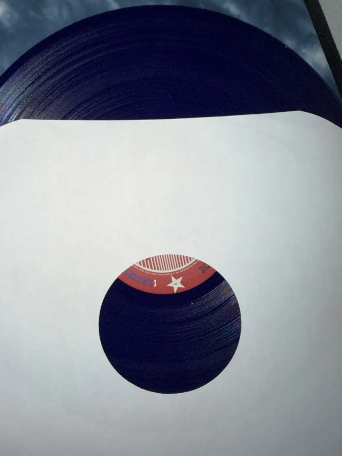 Amerika’s next top party - Partyof2 signed blue vinyl record, image 2