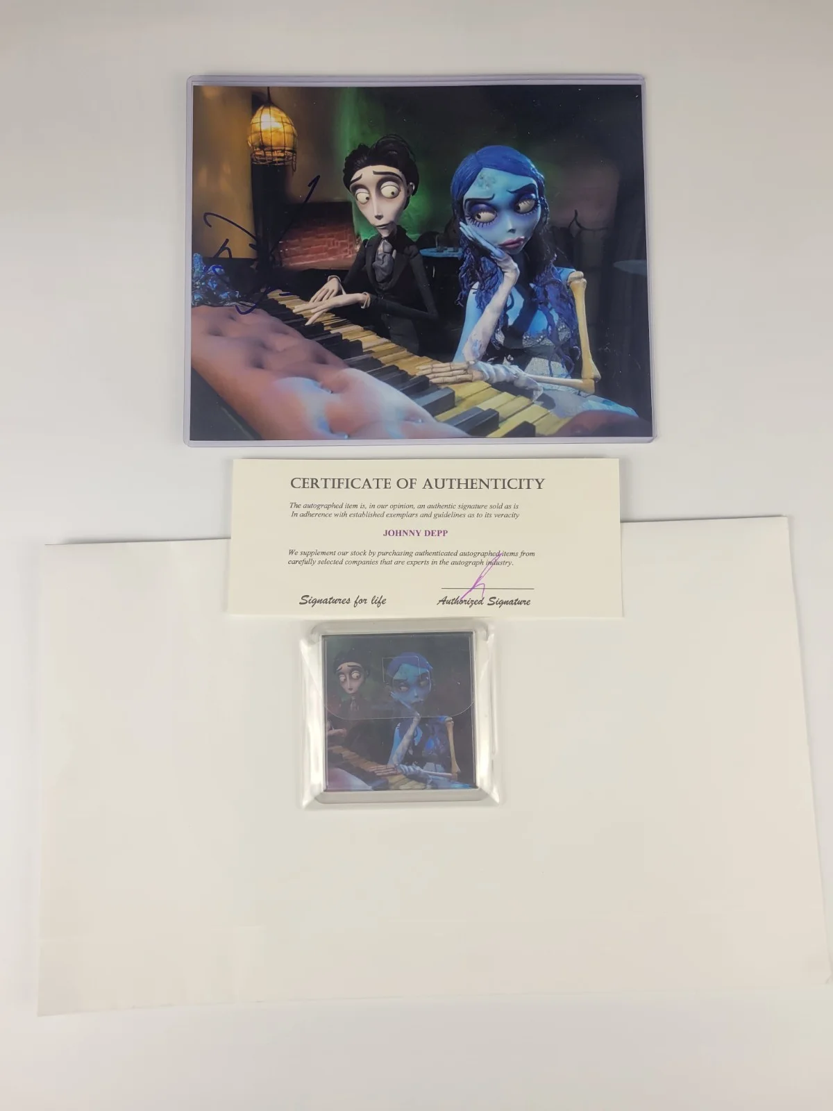 Johnny Depp — Johnny Depp Signed Corpse Bride 8x10 Photo Autograph Victor Van Dort COA, изображение 2
