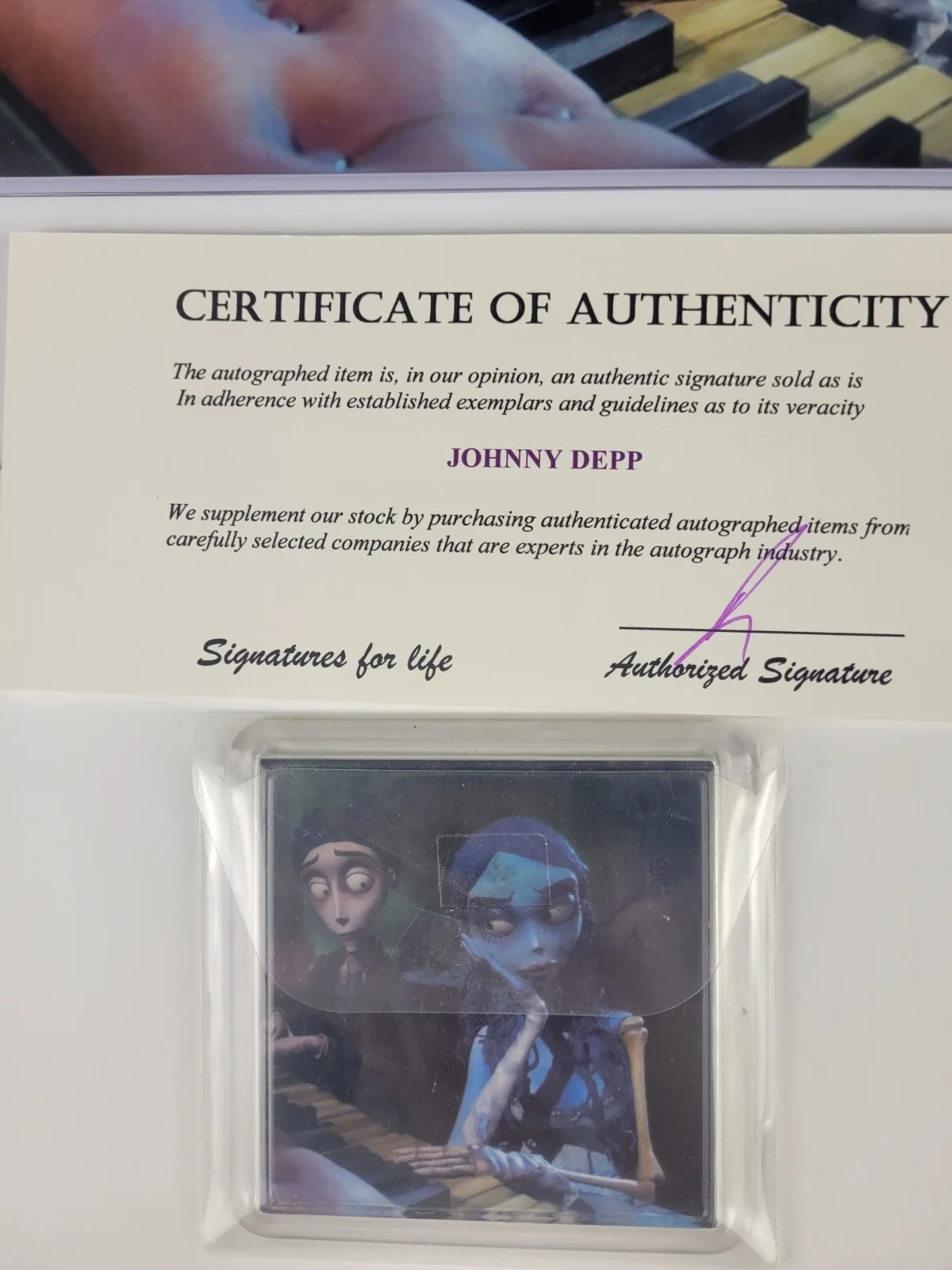 Johnny Depp — Johnny Depp Signed Corpse Bride 8x10 Photo Autograph Victor Van Dort COA, изображение 4