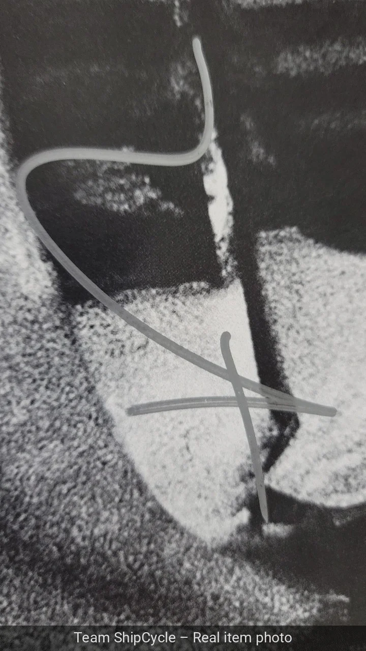 KANYE WEST YE BULLY SIGNED VINYL LP LIMITED EDITION SILVER G2U, image 2