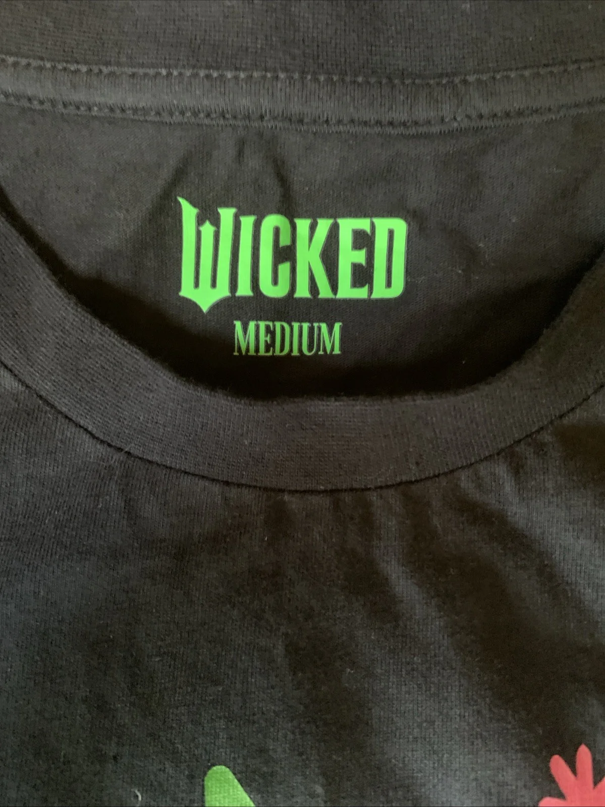 Wicked The Movie Rare Press Kit Bundle New, image 3