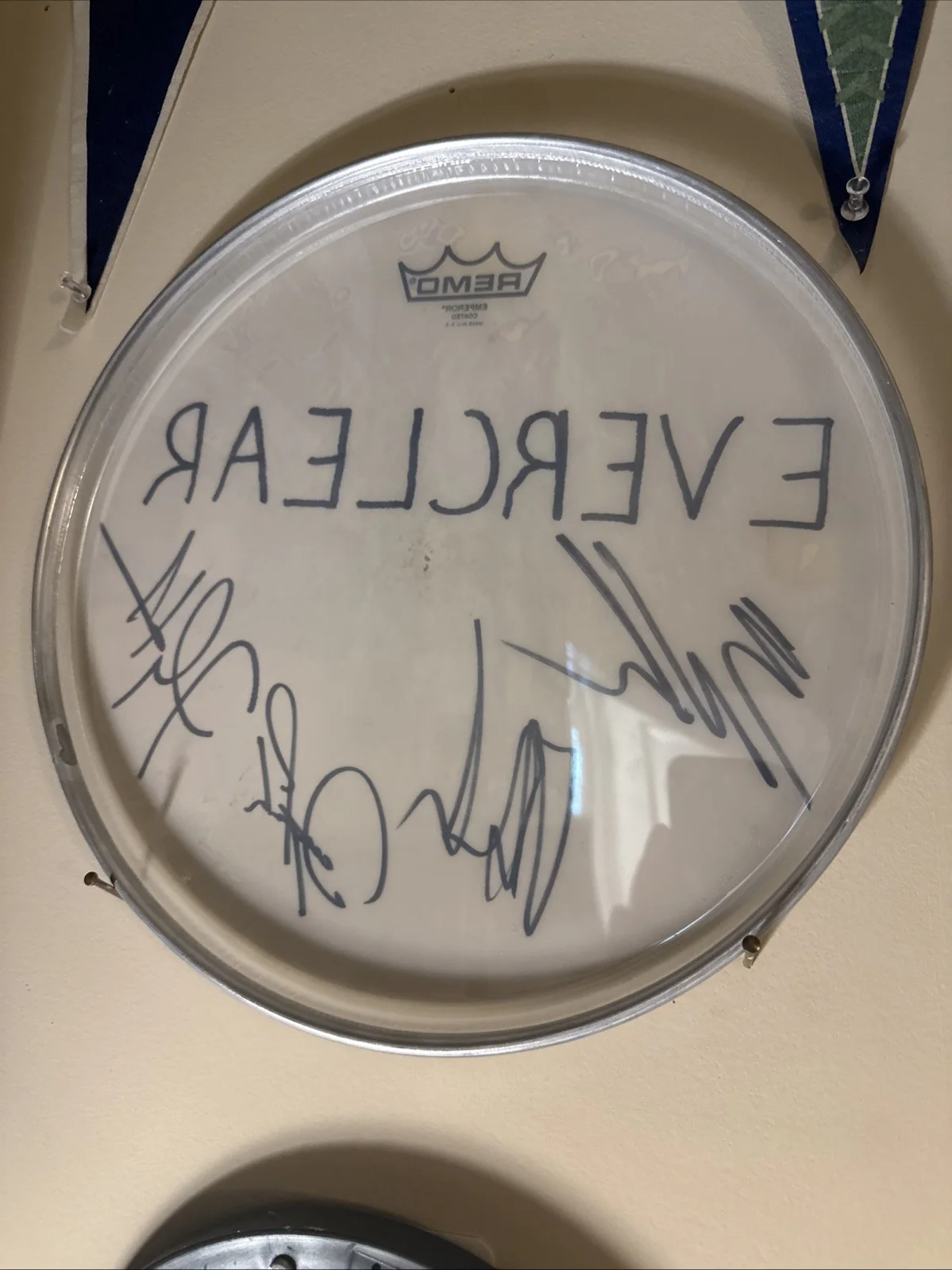 Remo Everclear Full Band Autographed Drum Head, Original Music Memorabilia, image 2