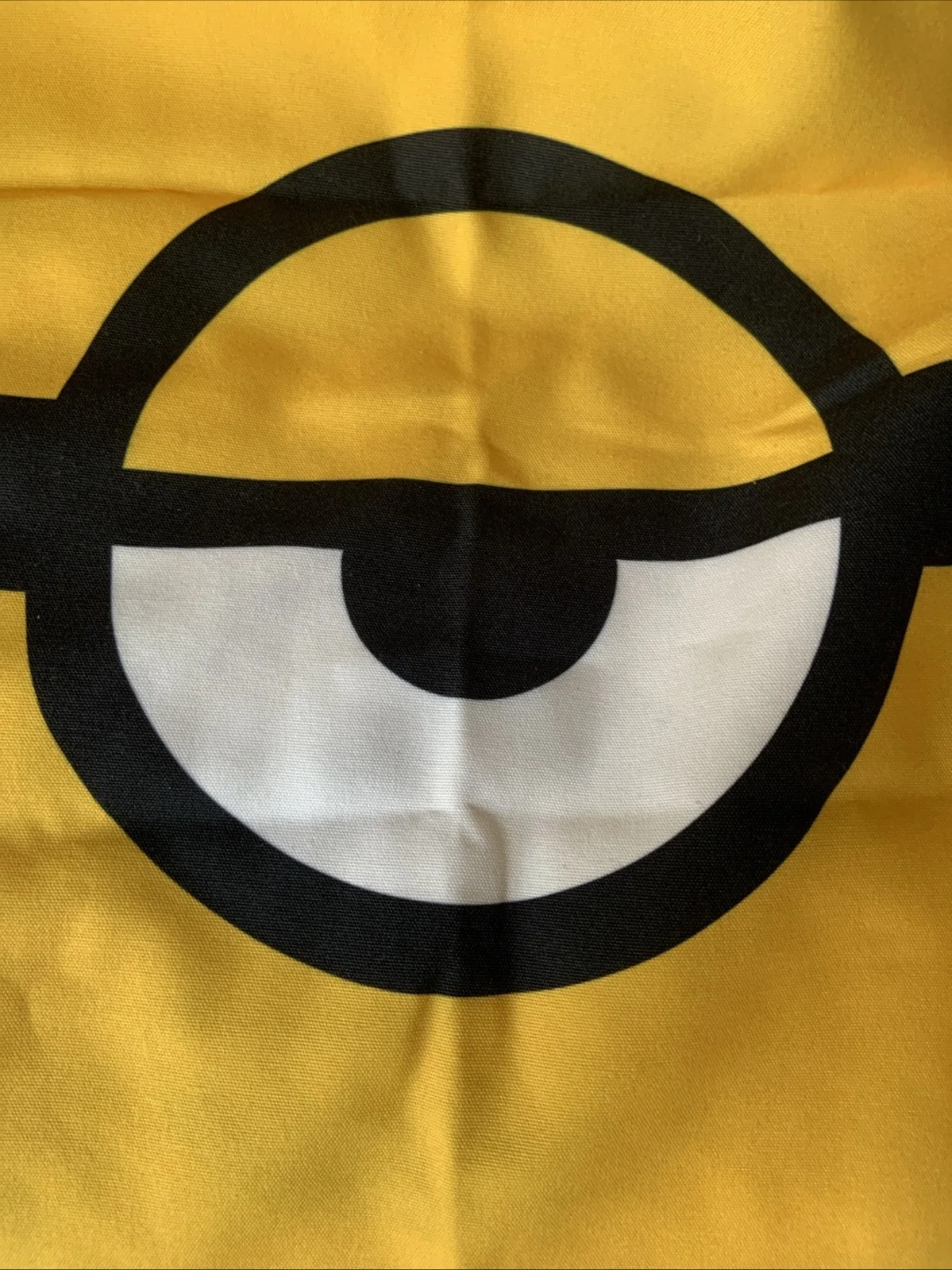 Despicable Me 4 / Minions Rise Of Gru Rare Press Kit Bundle New, image 4