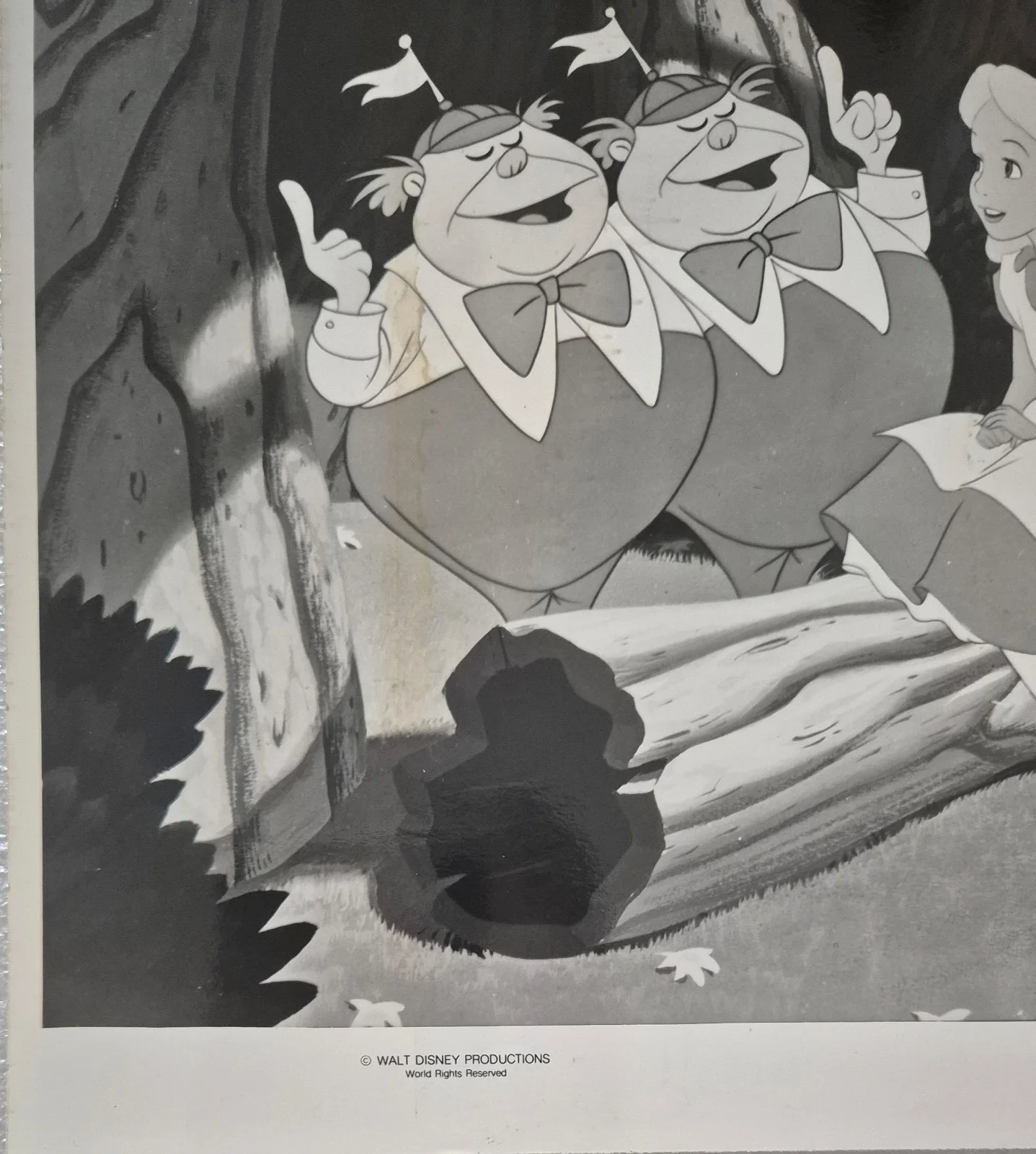 1951 ALICE IN WONDERLAND - Press Photo / Lobby Card 10" x 8" - Walt Disney #13, изображение 2