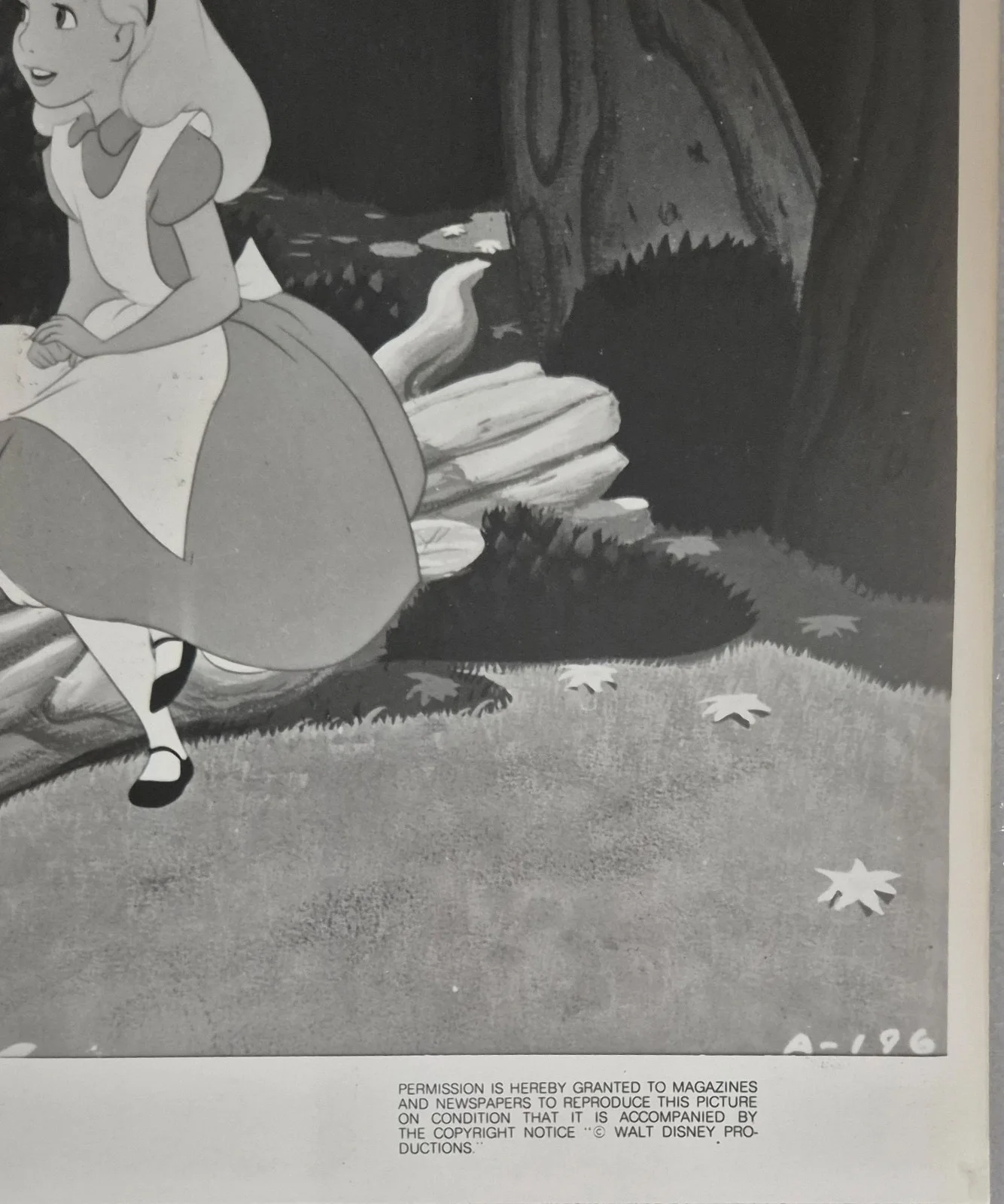 1951 ALICE IN WONDERLAND - Press Photo / Lobby Card 10" x 8" - Walt Disney #13, изображение 3