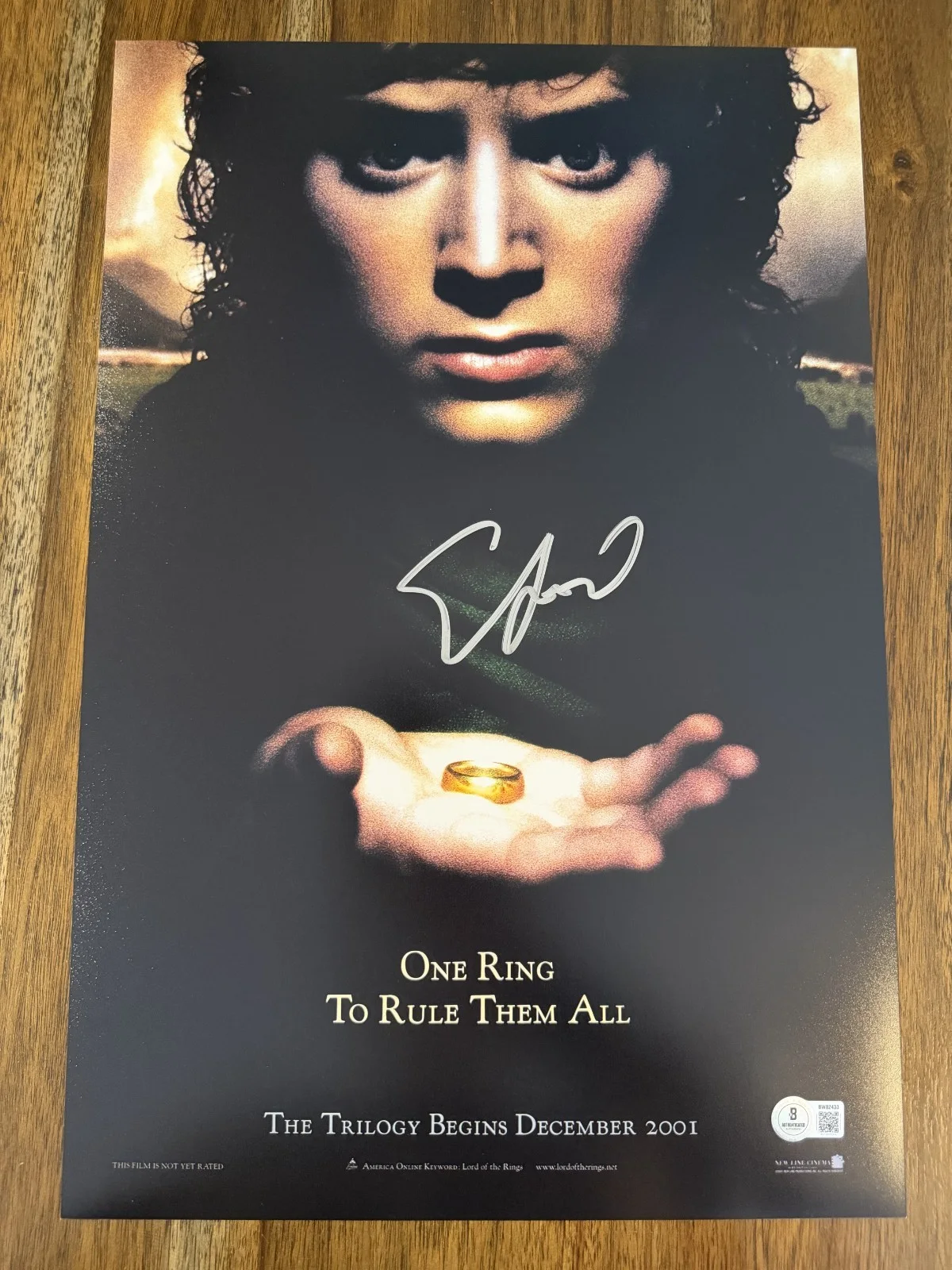 Elijah Wood — Elijah Wood ‘Lord Of The Rings’ Signed 12x18 Photo ‘Frodo’ Beckett Certified