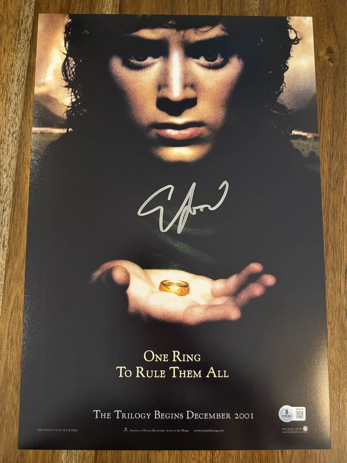 Elijah Wood — Elijah Wood ‘Lord Of The Rings’ Signed 12x18 Photo ‘Frodo’ Beckett Certified