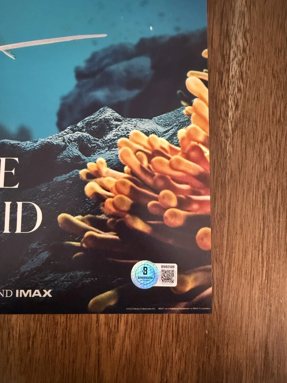 Jacob Tremblay 'The Little Mermaid' Signed 12x18 Photo 'Flounder' Beckett, изображение 2