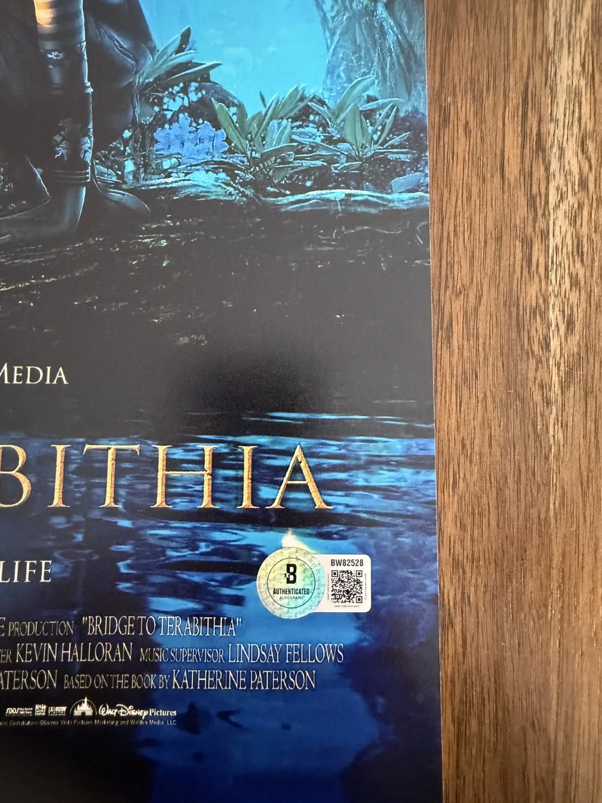 Josh Hutcherson 'Bridge To Terabithia’ Signed 12x18 Photo 'Jess Aarons' Beckett, image 2
