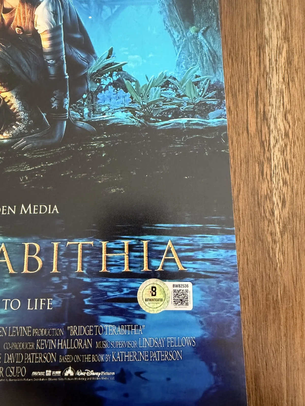 Josh Hutcherson 'Bridge To Terabithia’ Signed 12x18 Photo 'Jess Aarons' Beckett, image 2