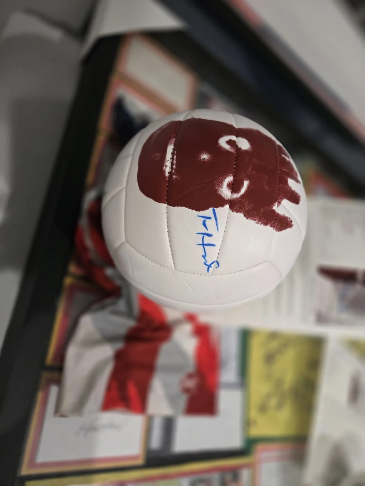Tom Hanks — Tom Hanks Signed Wilson Cast Away Official VOLLEYBALL JSA HOLO LOA, изображение 2