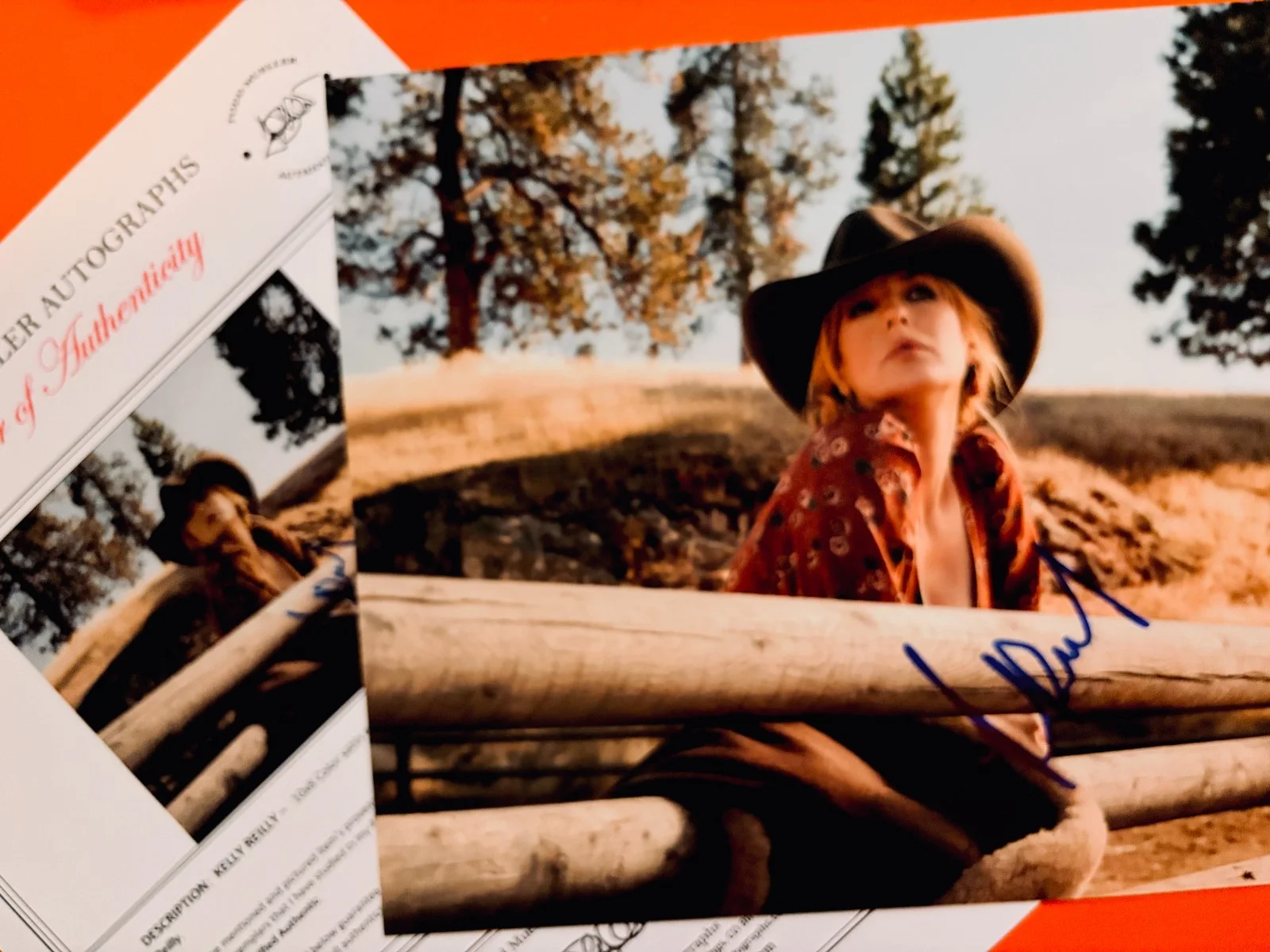 Kelly Reilly — Kelly Reilly Signed•YELLOWSTONE•8X10 Color Photo• Todd Mueller Autographs COA