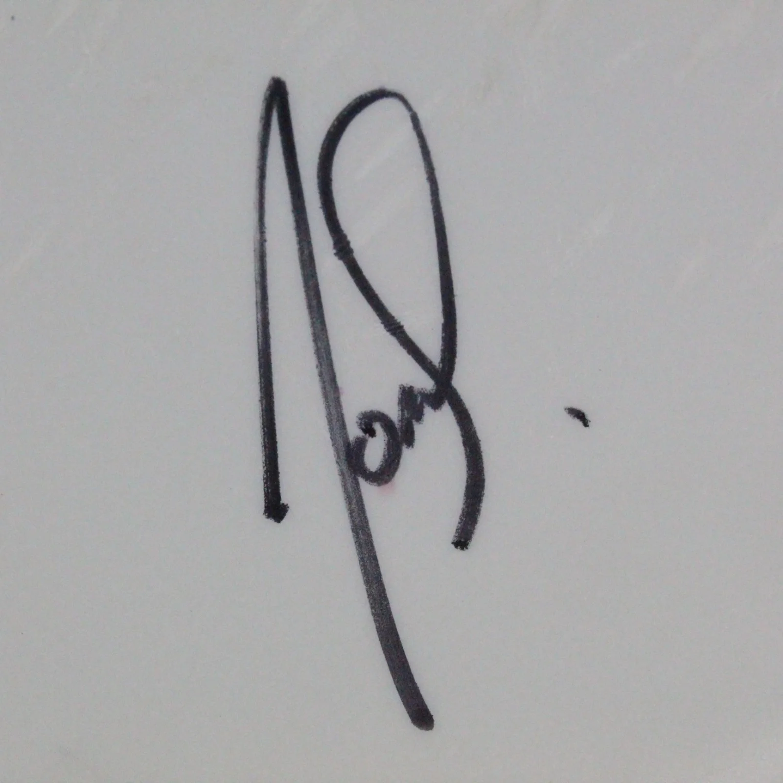 Hawk Nelson Band Autograph Signed Remo Drumhead Christian Pop-Punk Music, изображение 3