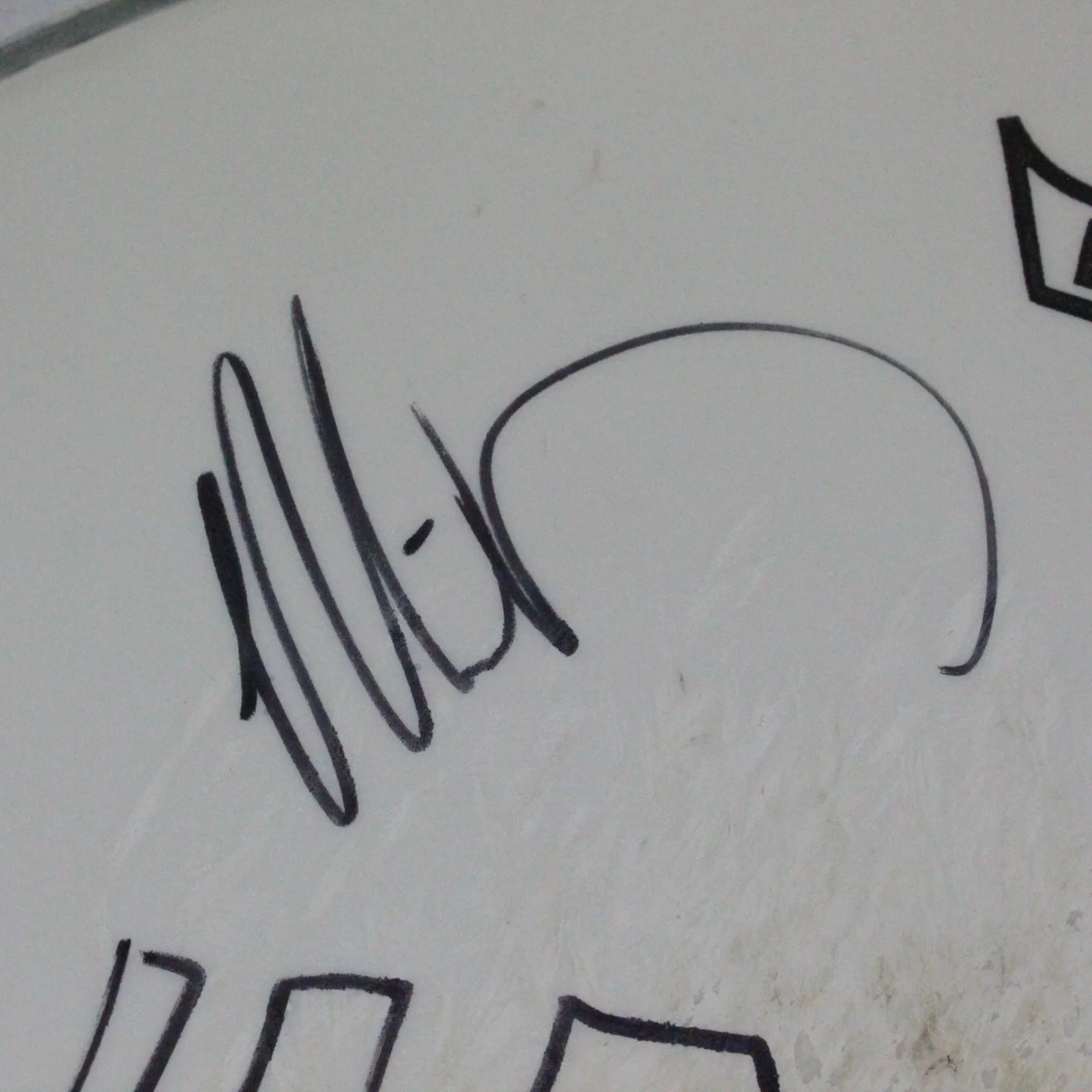 Hawk Nelson Band Autograph Signed Remo Drumhead Christian Pop-Punk Music, изображение 5