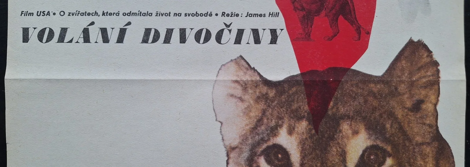 BORN FREE, VOLANI DIVOCINY, ORIGINAL A3 CZECH MOVIE POSTER, V. VACLAV PALECEK, изображение 2
