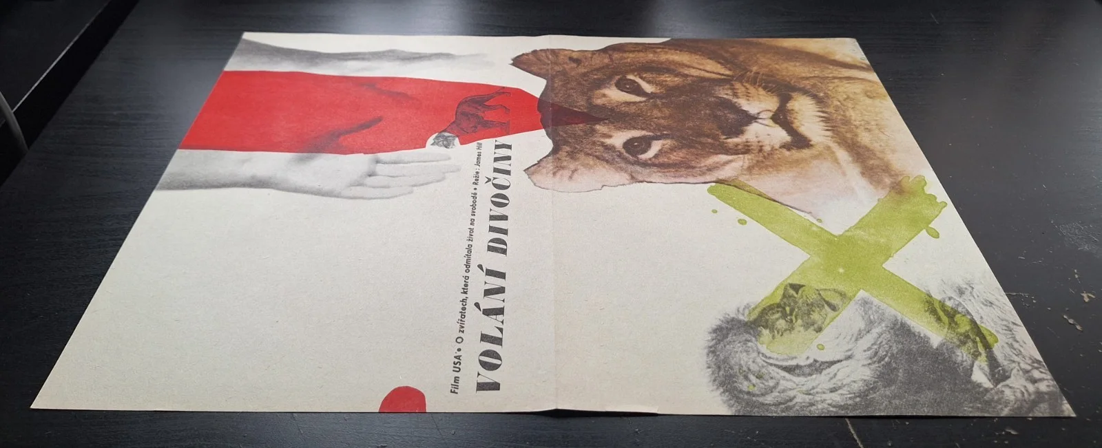 BORN FREE, VOLANI DIVOCINY, ORIGINAL A3 CZECH MOVIE POSTER, V. VACLAV PALECEK, изображение 3