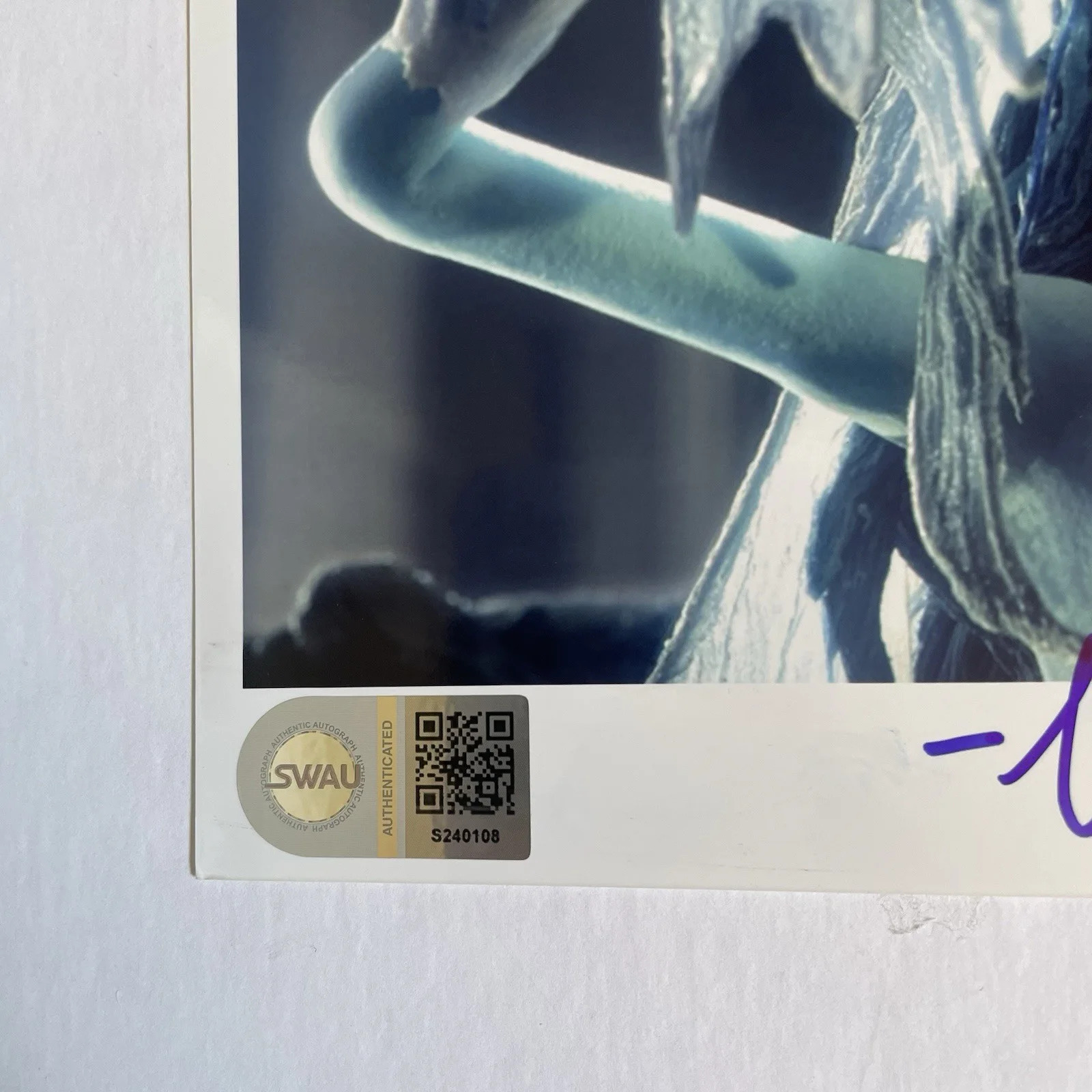 Helena Bonham Carter — HELENA BONHAM CARTER SIGNED PHOTO 8x10 CORPSE BRIDE SIGNED PHOTO SWAU COA, image 3