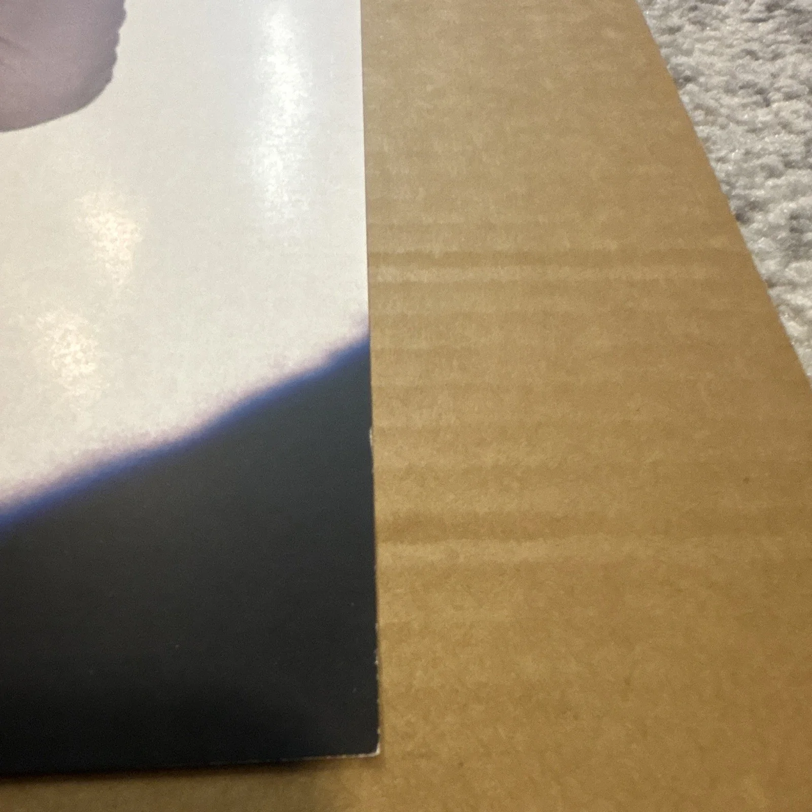 The Neighbourhood Chip Chrome & The Mono-Tones signed poster, image 3
