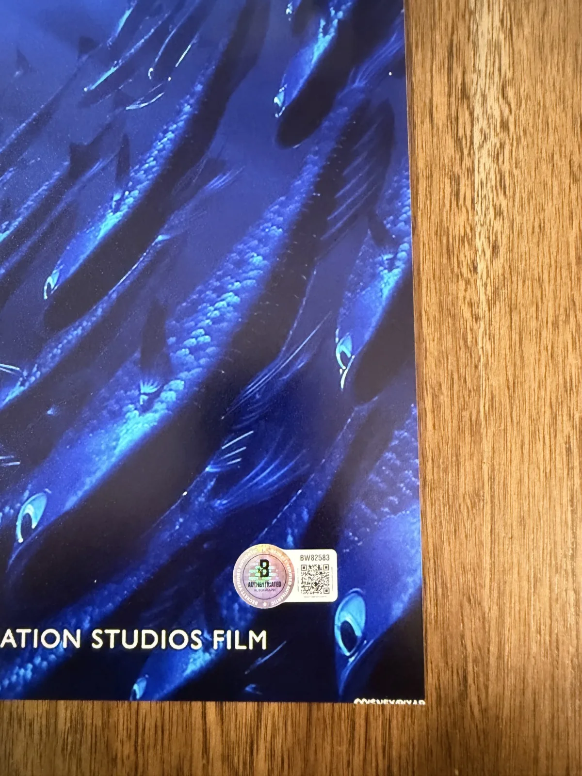 Andrew Stanton ‘Finding Nemo’ Movie Director Signed 12x18 Photo Beckett, image 2