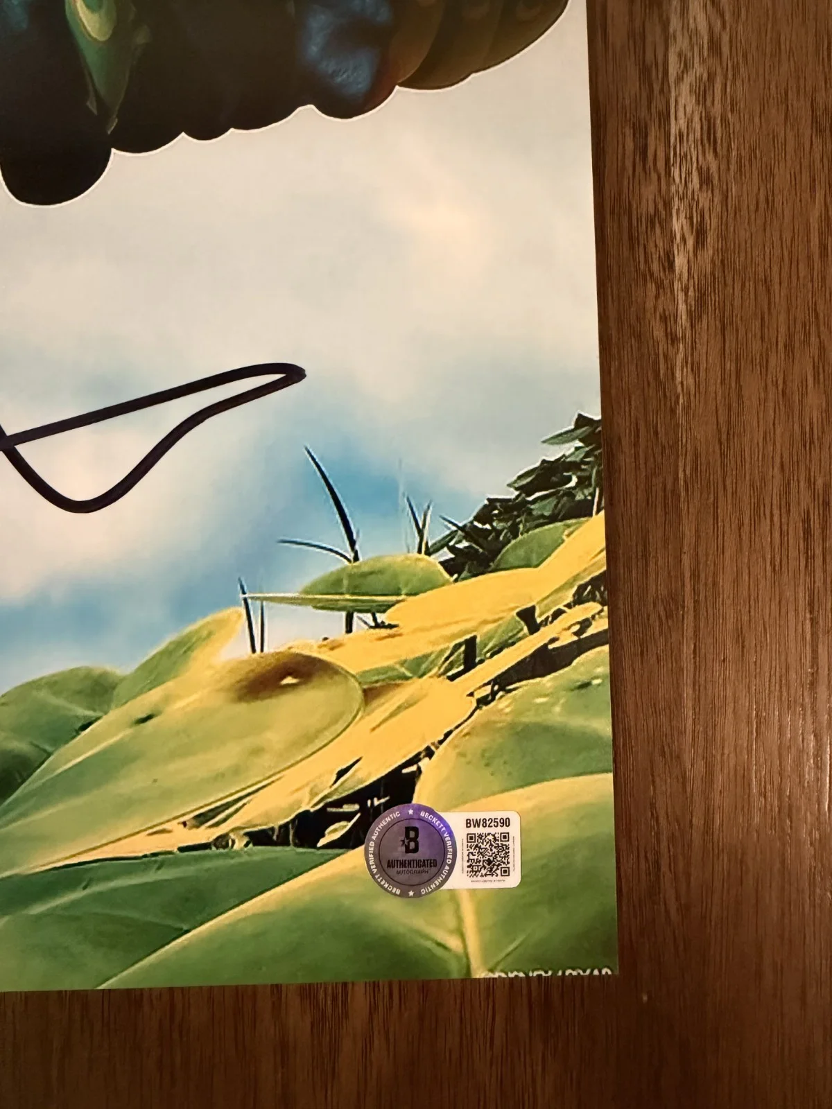 Andrew Stanton ‘A Bug's Life’ Movie Director Signed 12x18 Photo Beckett, изображение 2