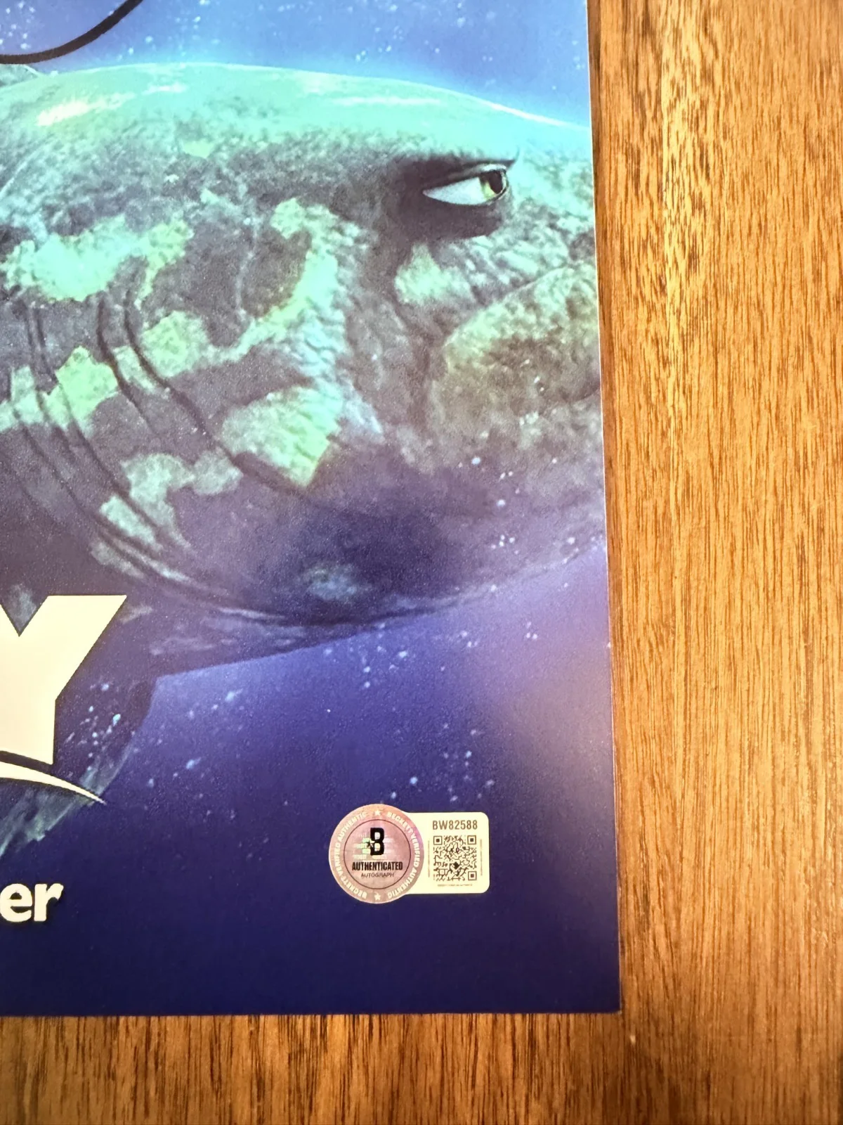 Andrew Stanton ‘Finding Dory’ Movie Director Signed 12x18 Photo Beckett, image 2