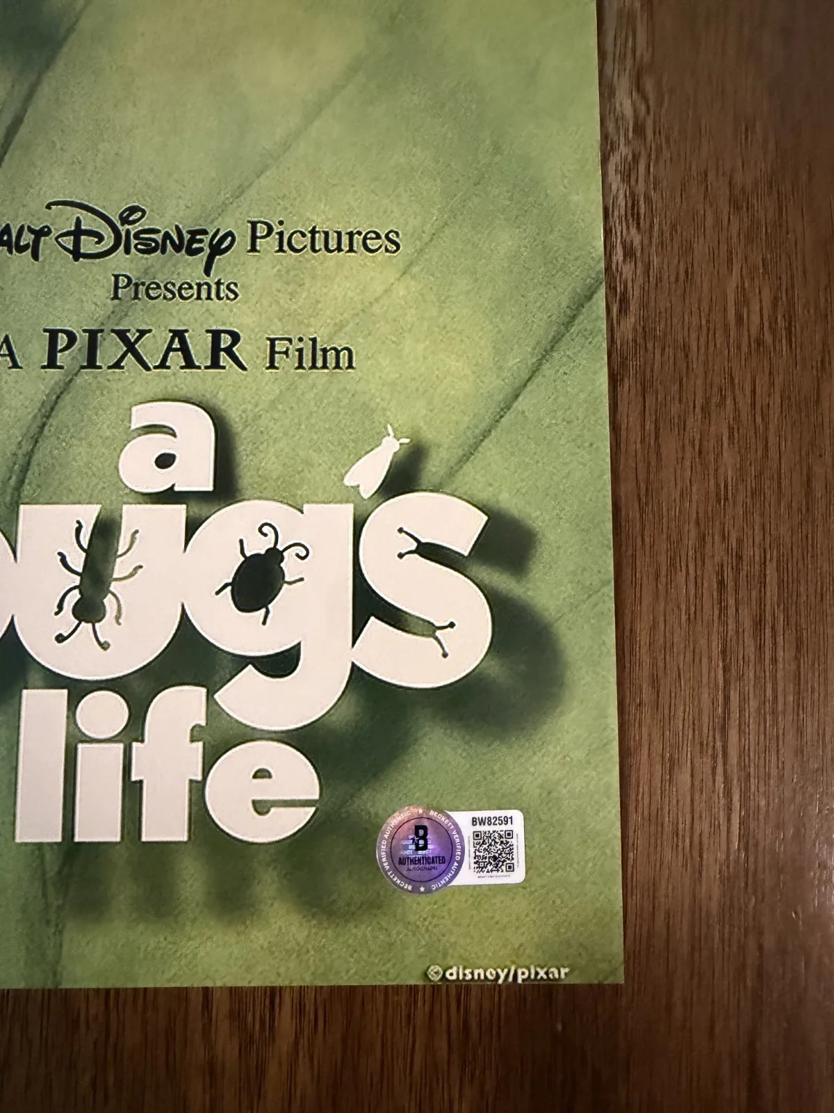 Andrew Stanton ‘A Bug's Life’ Movie Director Signed 12x18 Photo Beckett, изображение 2
