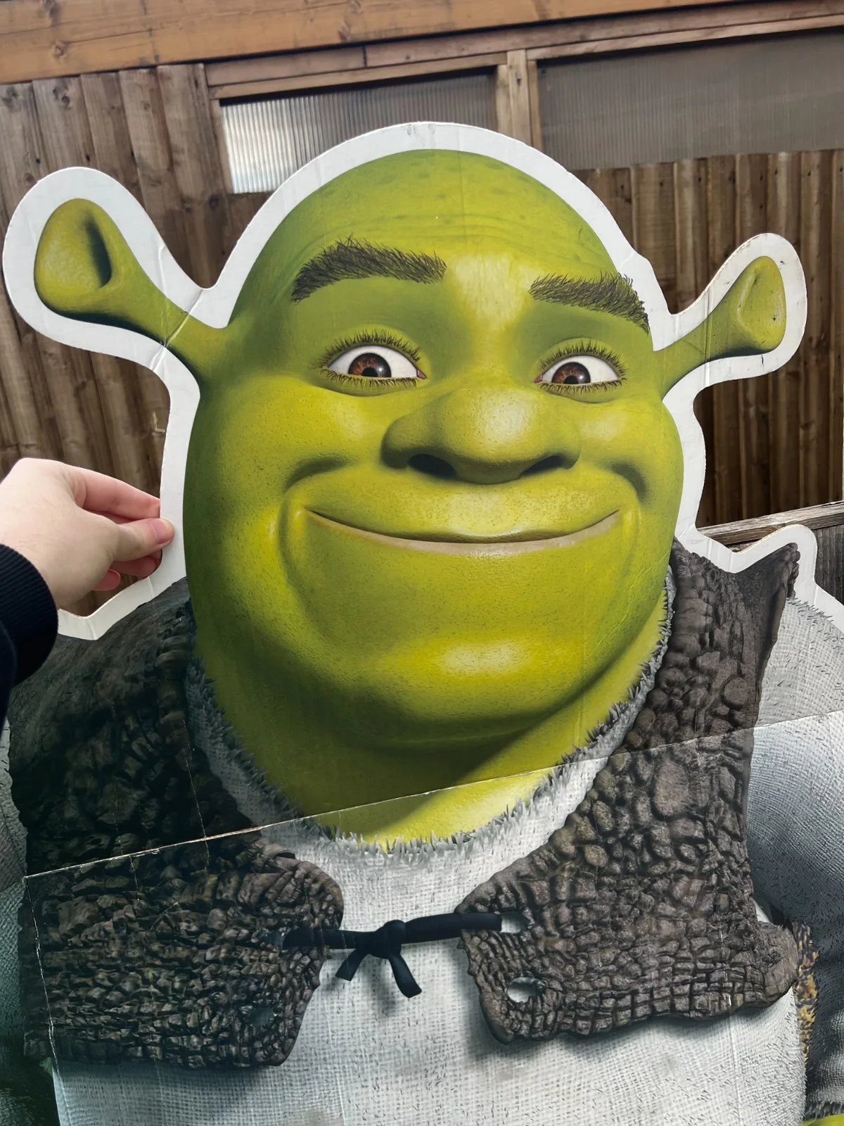 DreamWorks Shrek 2015 Full Size Cardboard Cutout Star Cutouts Defect, image 3