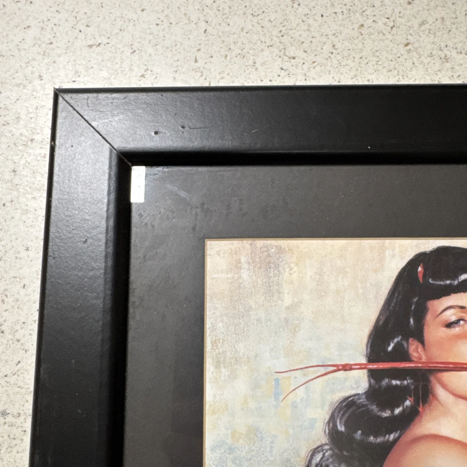 Bettie Page Don’t Tread On My 18”x16” Black Framed, изображение 3