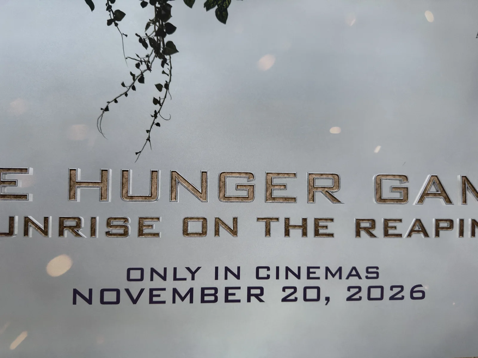 The Hunger Games - Sunrise on the Reaping - Cinema Poster-Frame High Quality, изображение 4