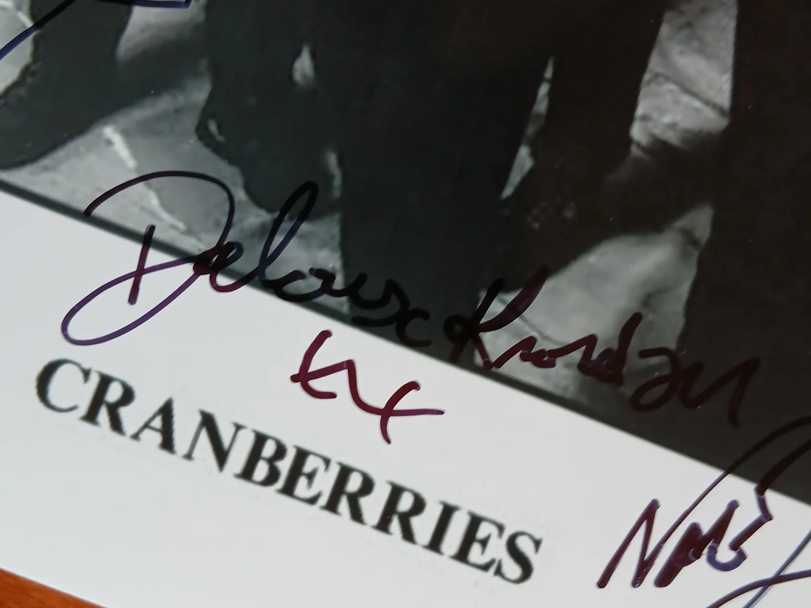 The Cranberries, Full Band Signed Autographed 8x6 Photo, изображение 2