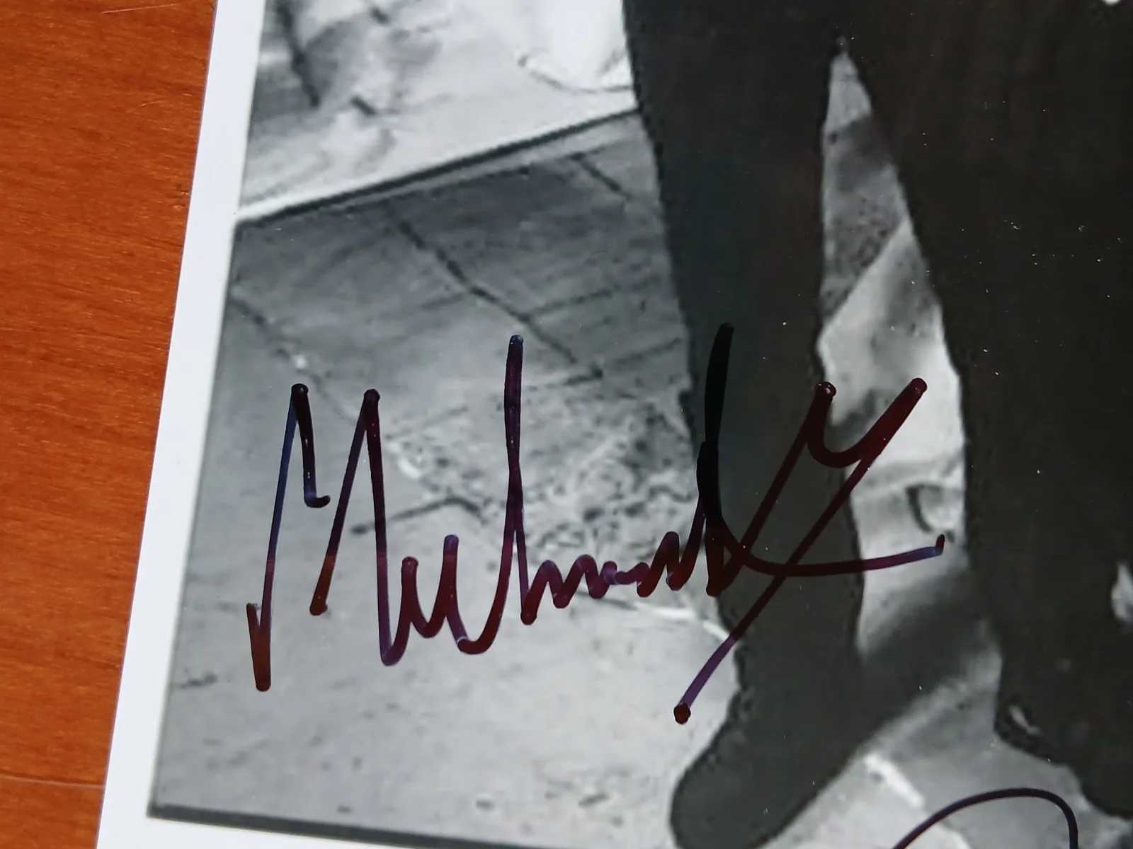 The Cranberries, Full Band Signed Autographed 8x6 Photo, изображение 3