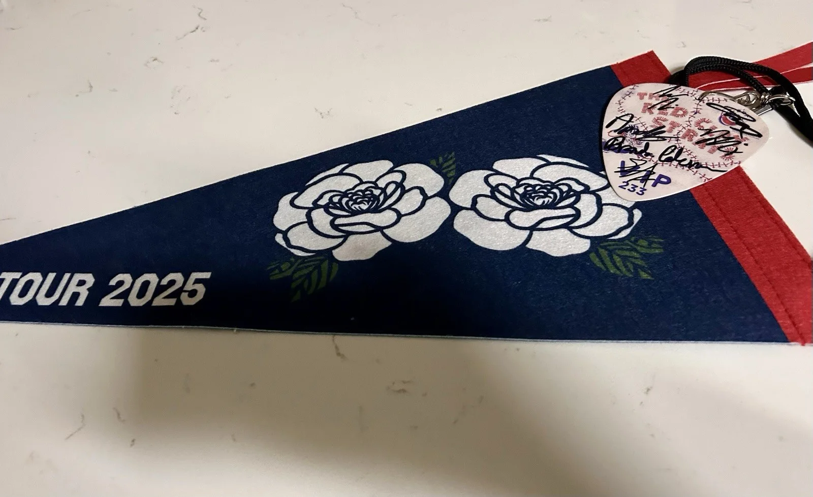 Red Clay Strays Signed Pennant VIP Pass Ain’t No Man Tour 2025, image 4