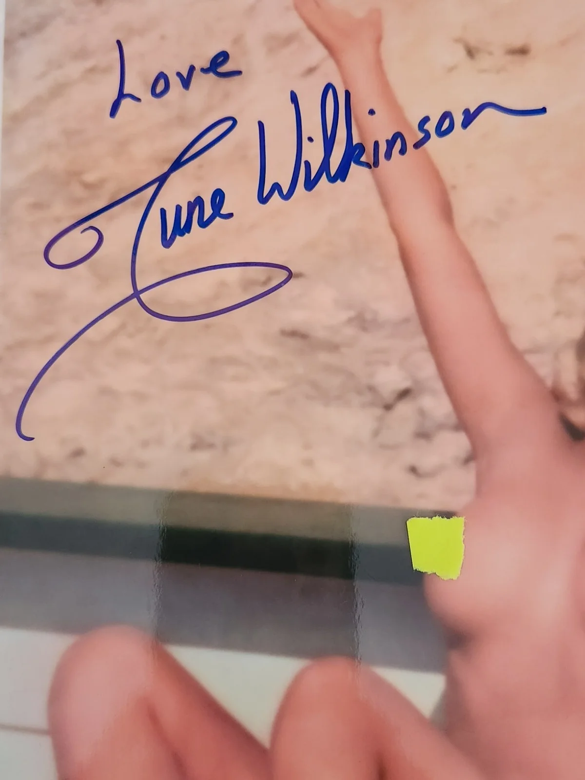 June Wilkinson Signed Autographed 8x10" Photograph AW COA Sexy Portrait, image 2