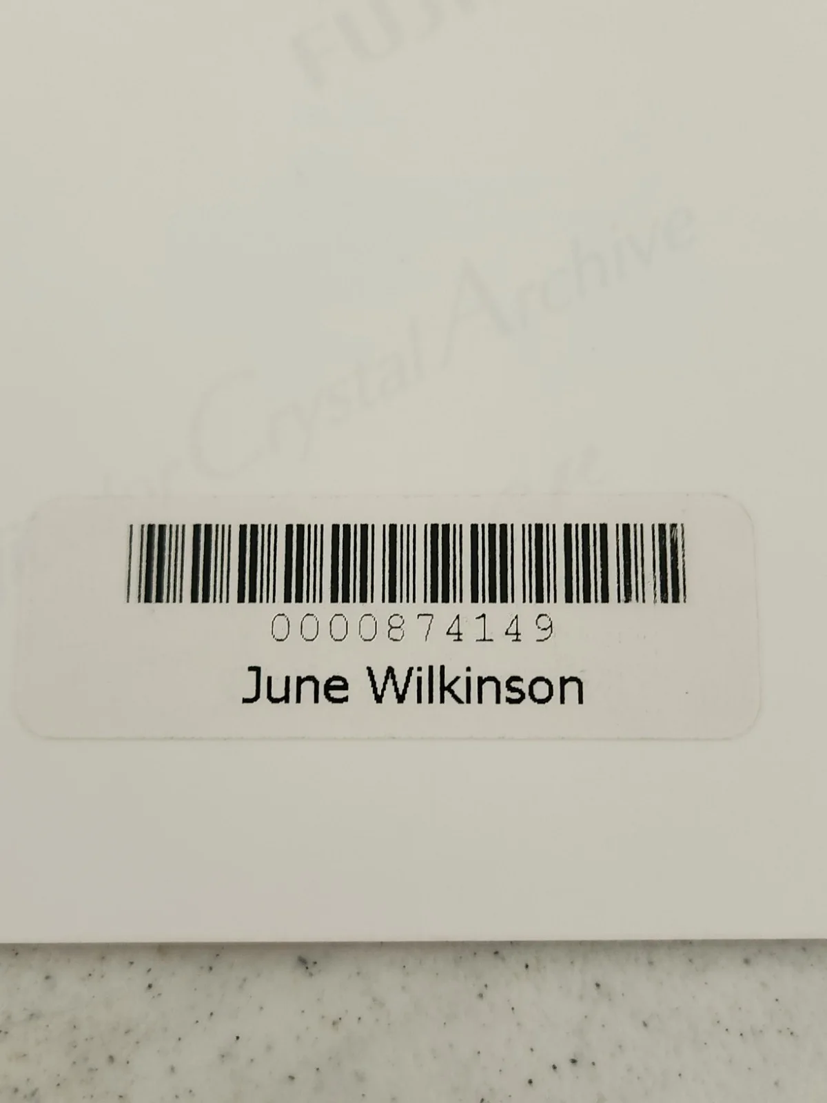 June Wilkinson Signed Autographed 8x10" Photograph AW COA Sexy Portrait, image 3