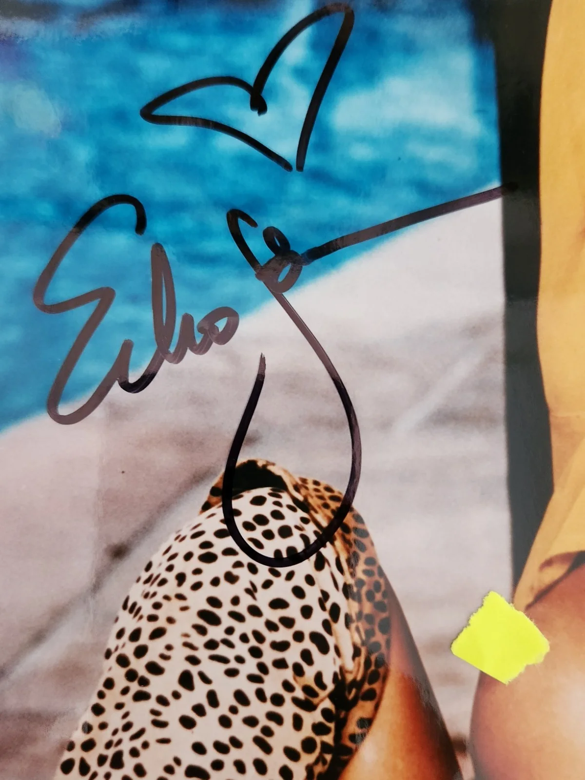 Echo Johnson Signed Autographed 8x10" Photograph AW COA Playboy Model, image 2